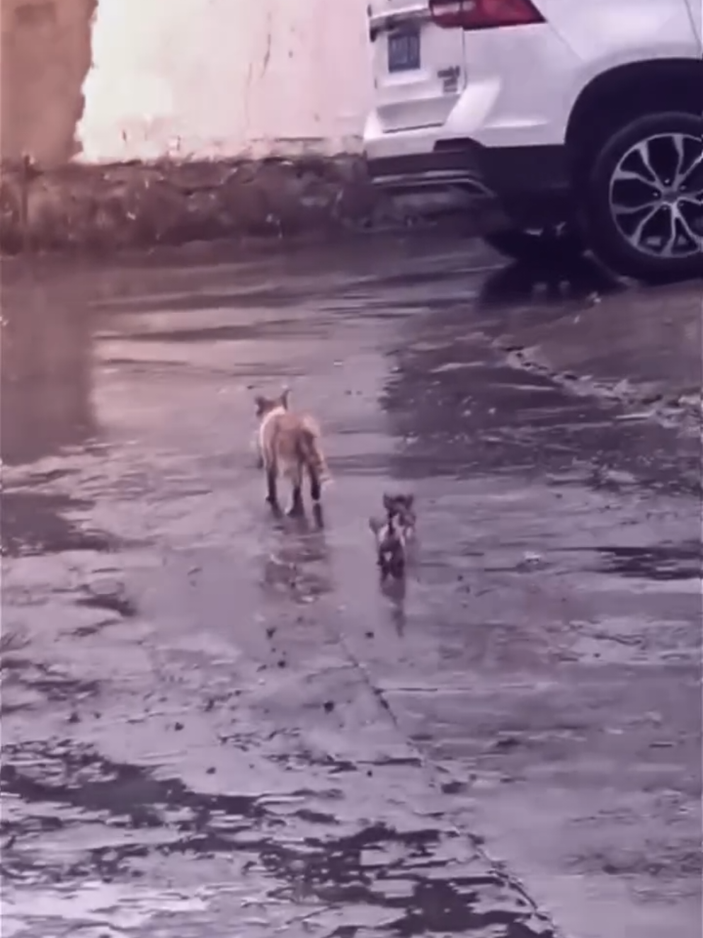 @𝐁𝐨𝐳𝐳 𝐉𝐄(𝐮𝐧𝐨)