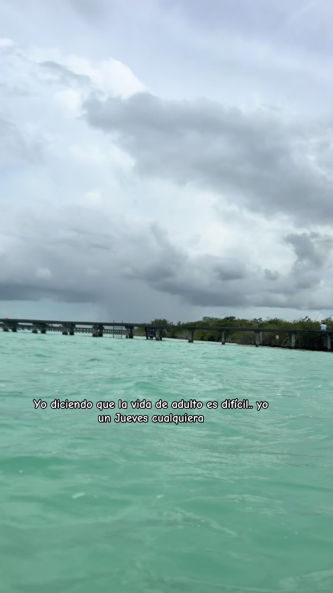 @๐ชฌ๐๐ข๐๐๐๐๐ก๐๐ซ