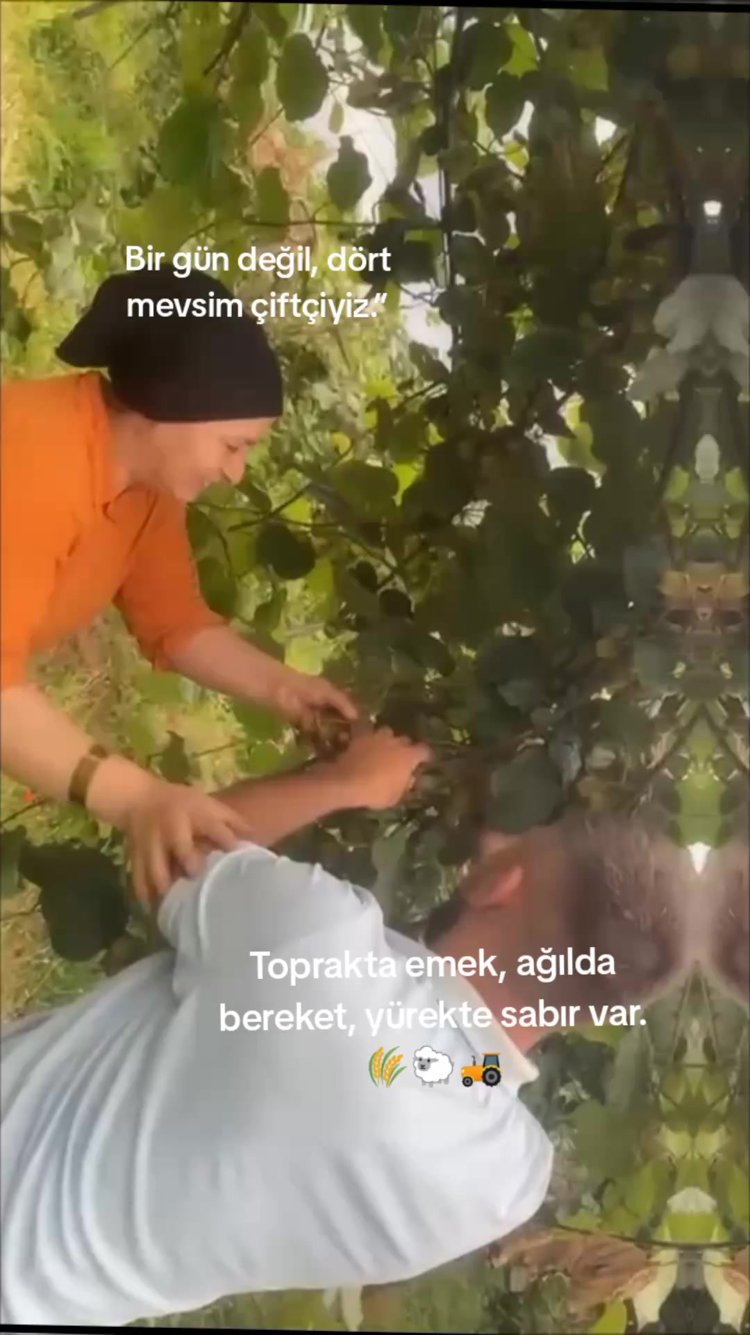 @Nuriye Bicil