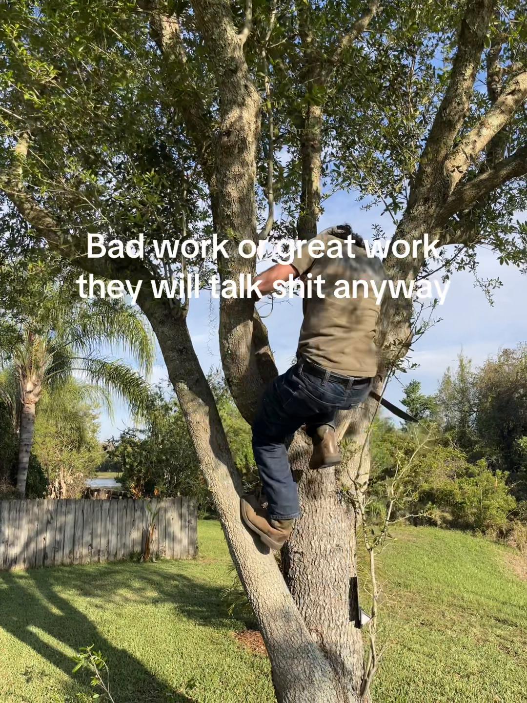 @Wolf of Lawn Street