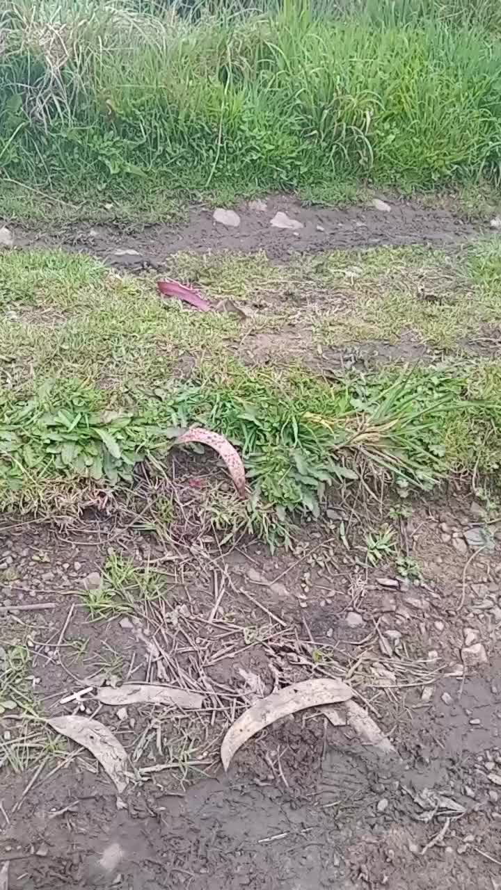 @Transito tenezaca