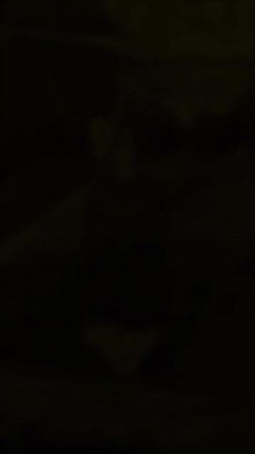 @monte carlo