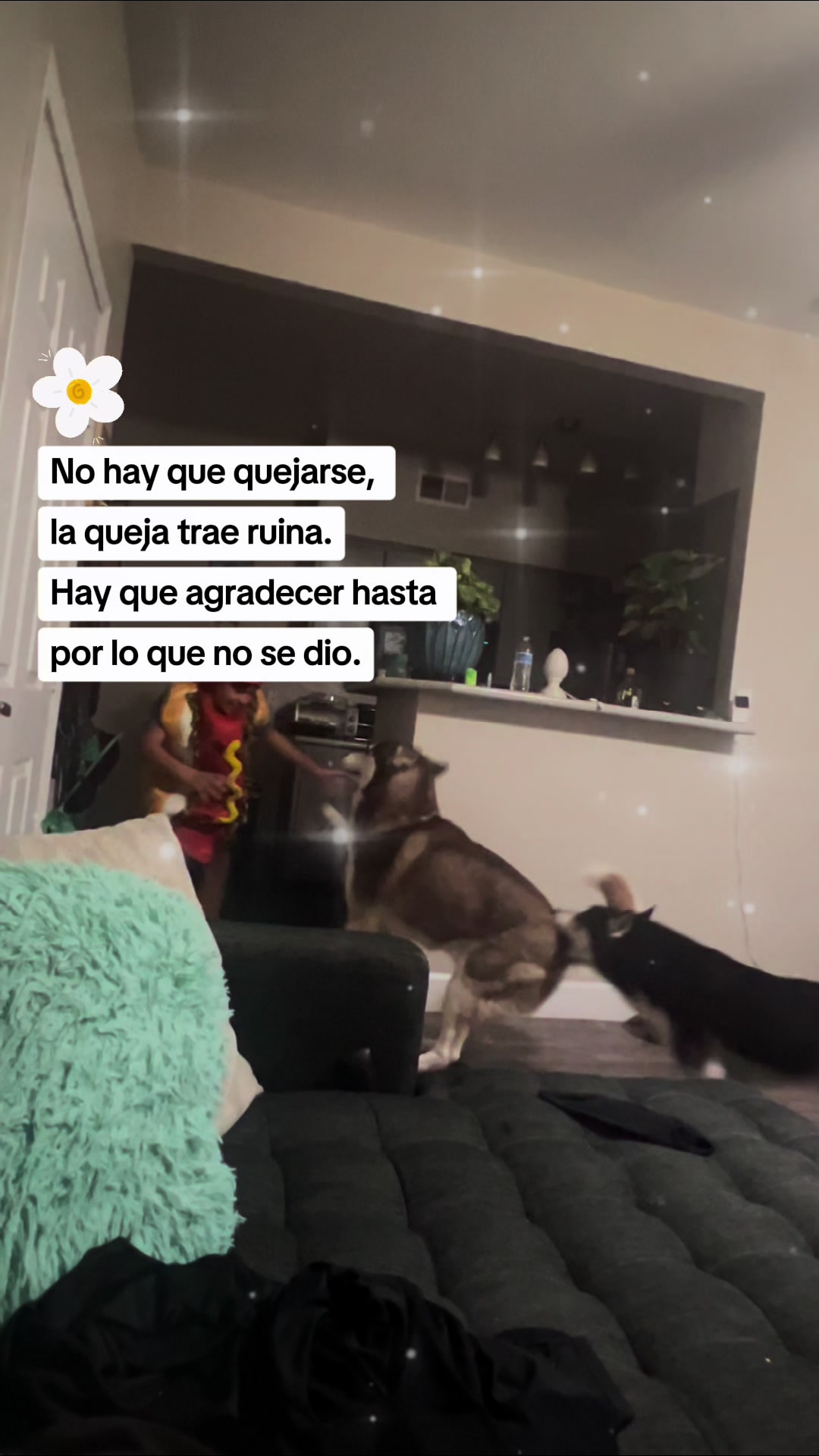@Leo Reyes