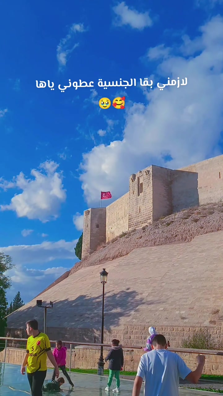 @☺️🌷زهرة حلب 🌷☺️