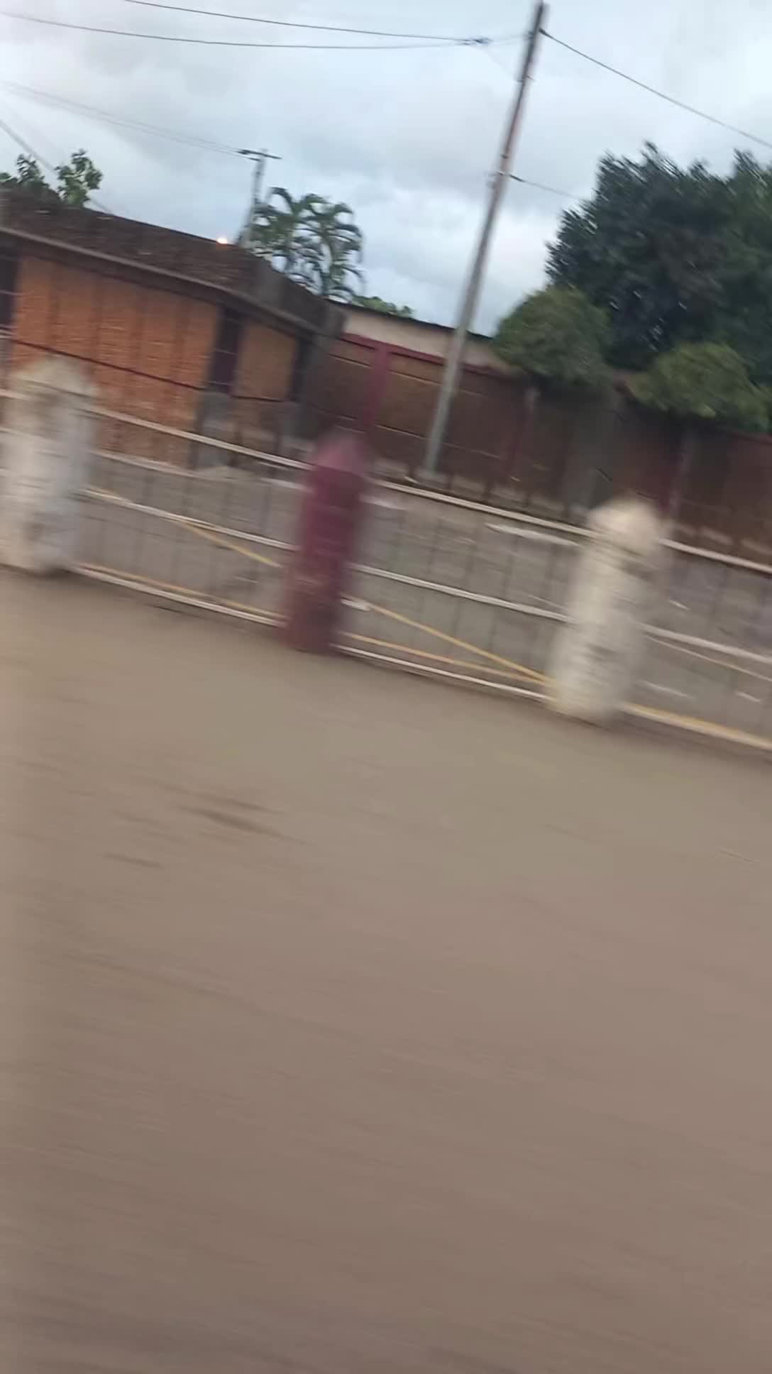 @Mr KON&Eacute;  L'&Eacute;TOILE DE BOUAK&Eacute;