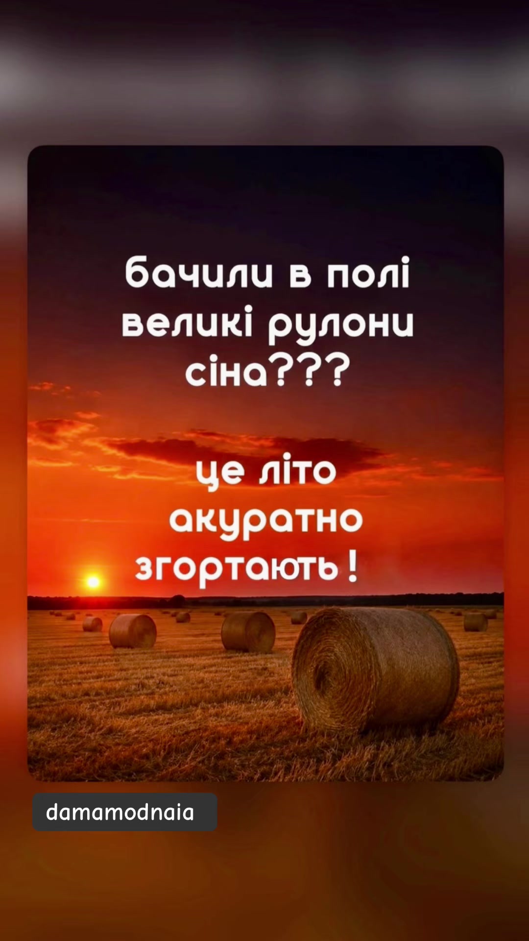 @Damamodnaia