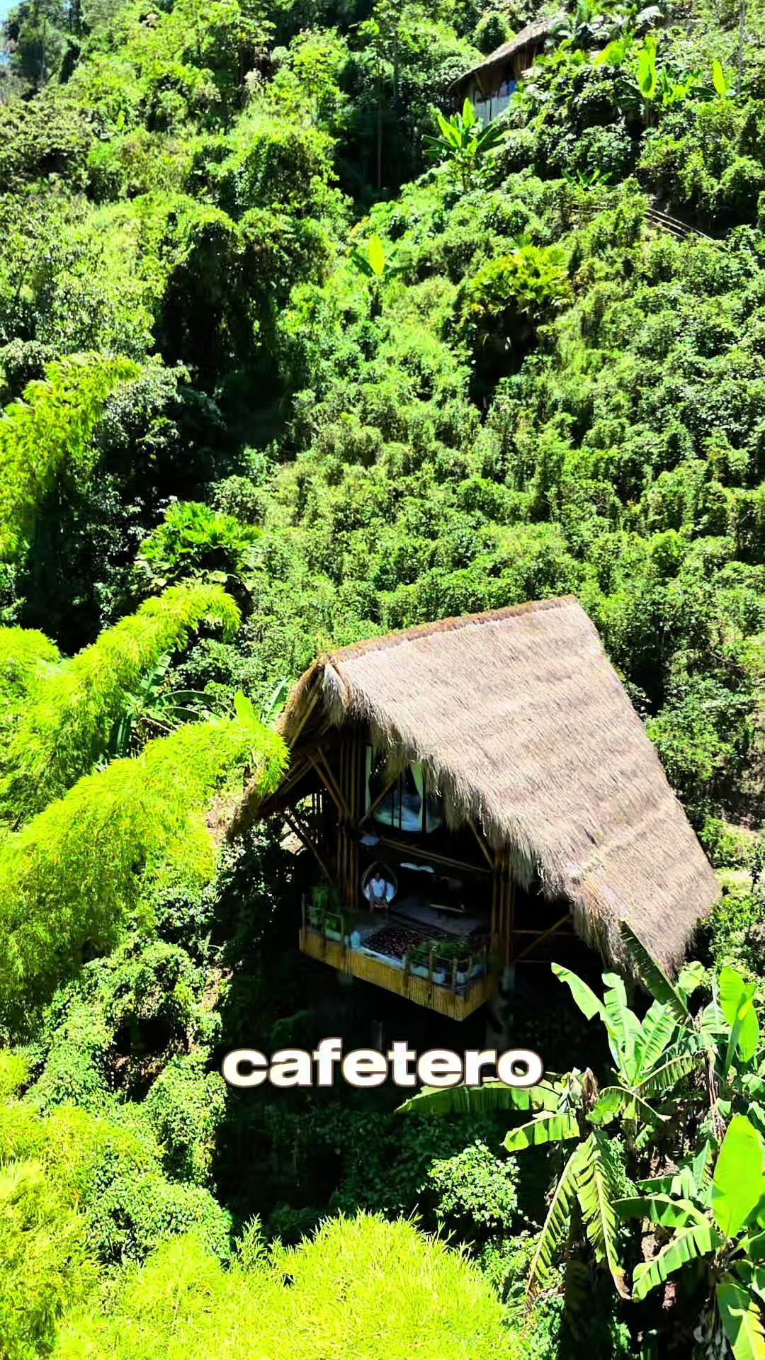 @Maria Isabel Puerta