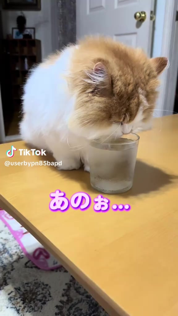 @とも