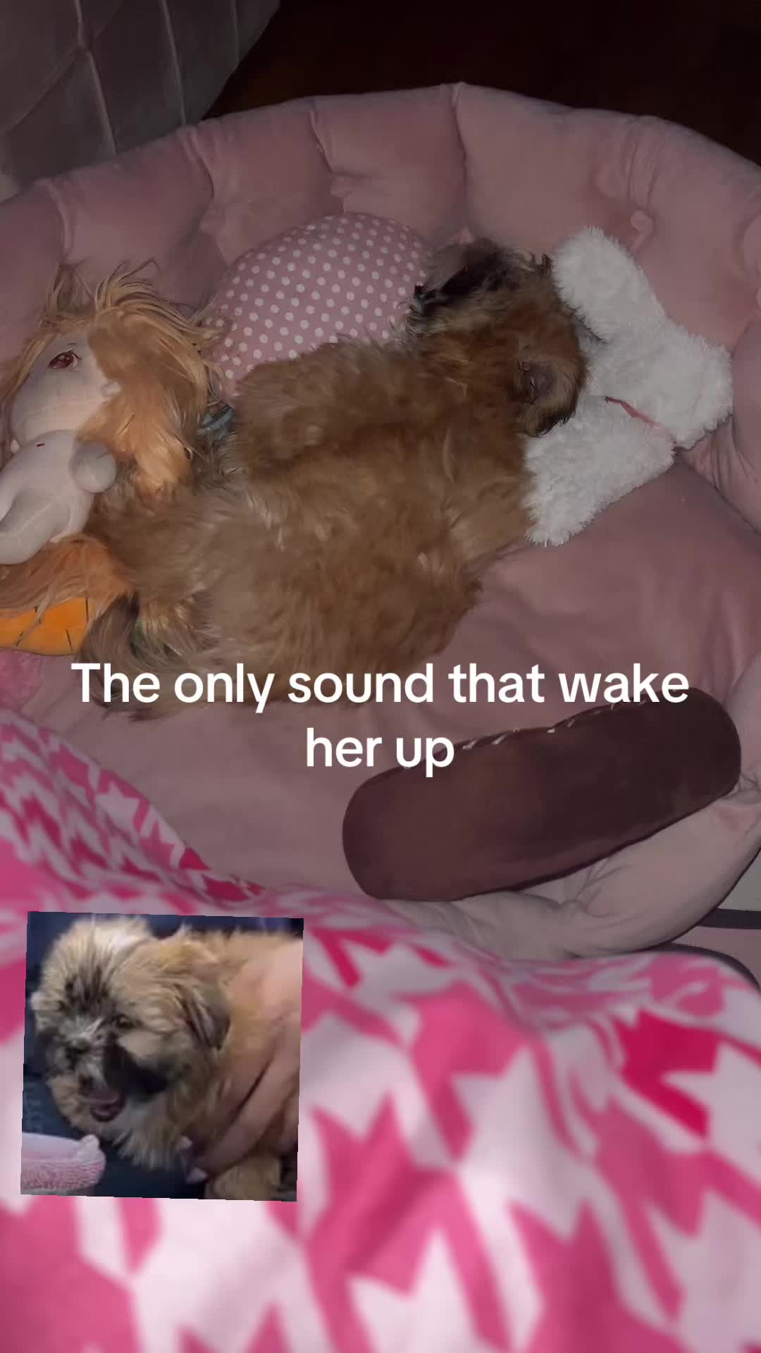 @🧸💝s🌸🌺