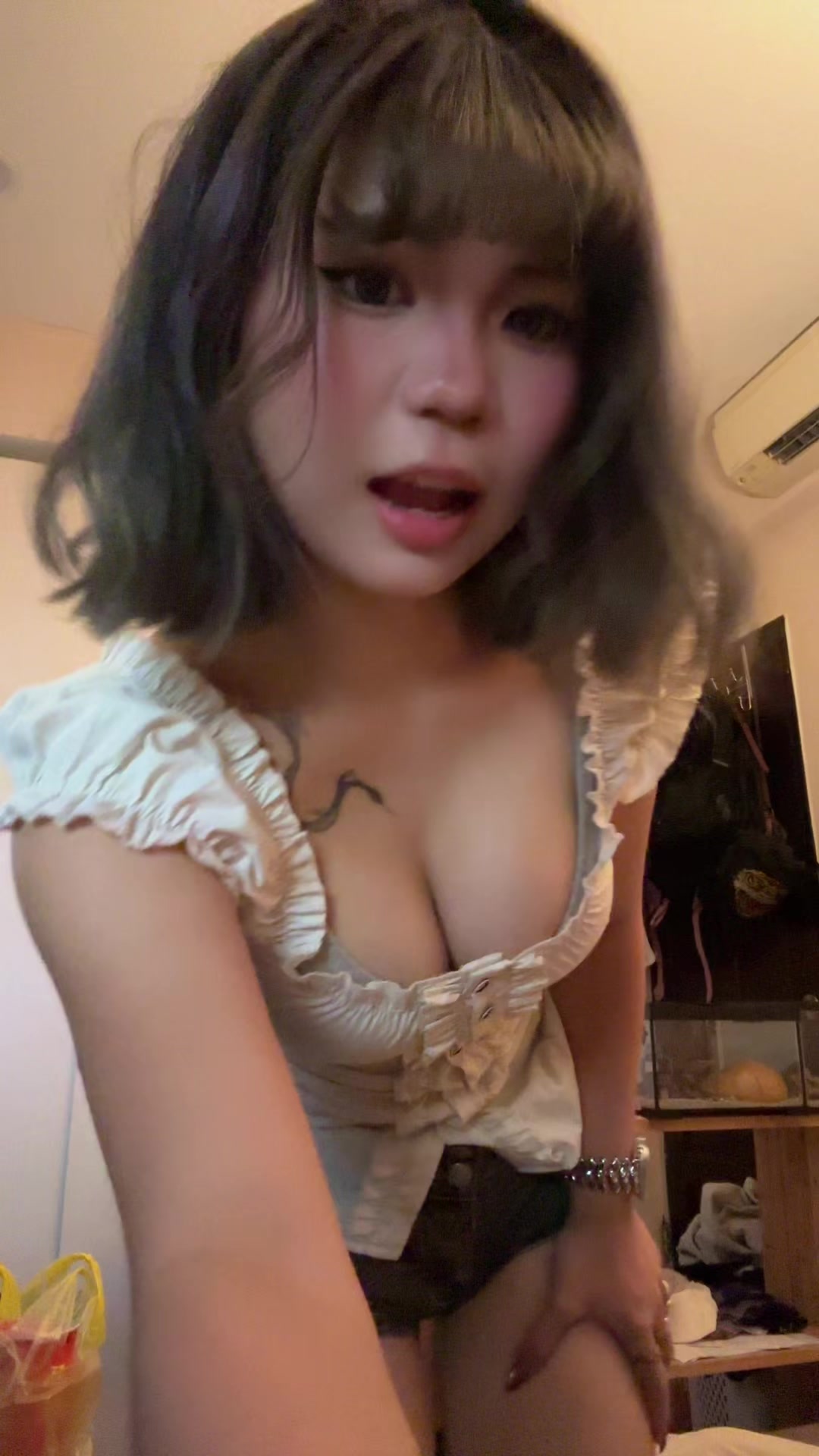 @海豹🦭
