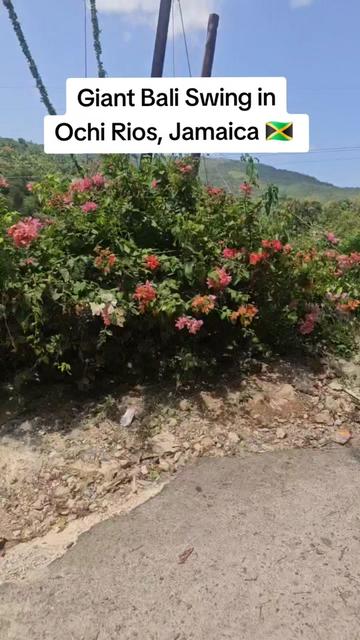 @TravelwithSerena☁️✈️💋💋