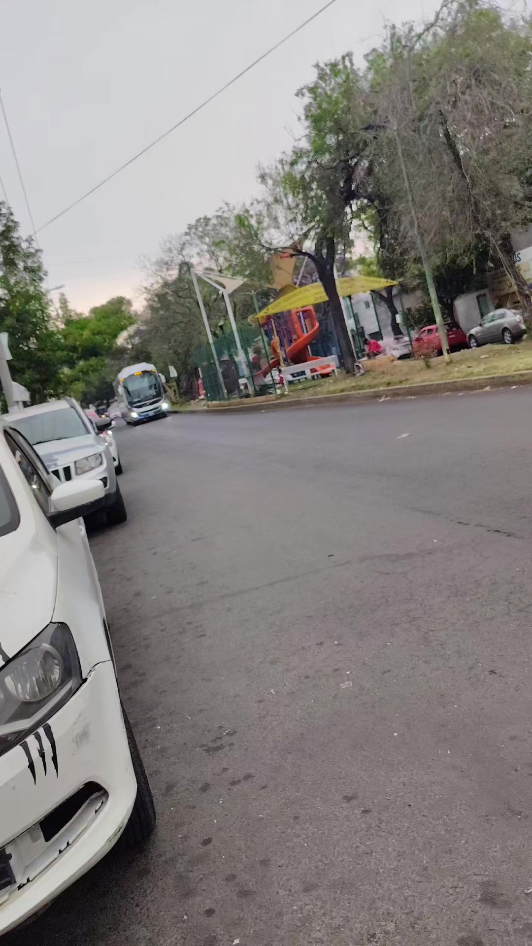 @🍁 " Busologuia_Mexico_NT "🍁