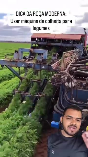 @Obrasilense