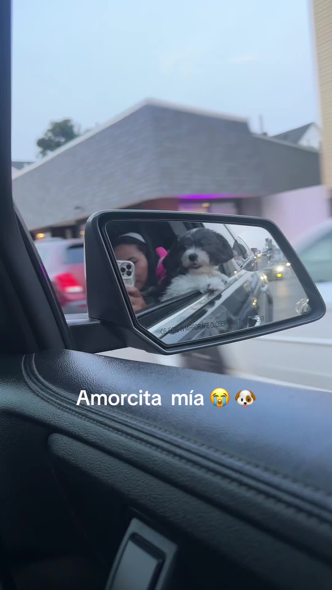 @Michelle 🪽🫧