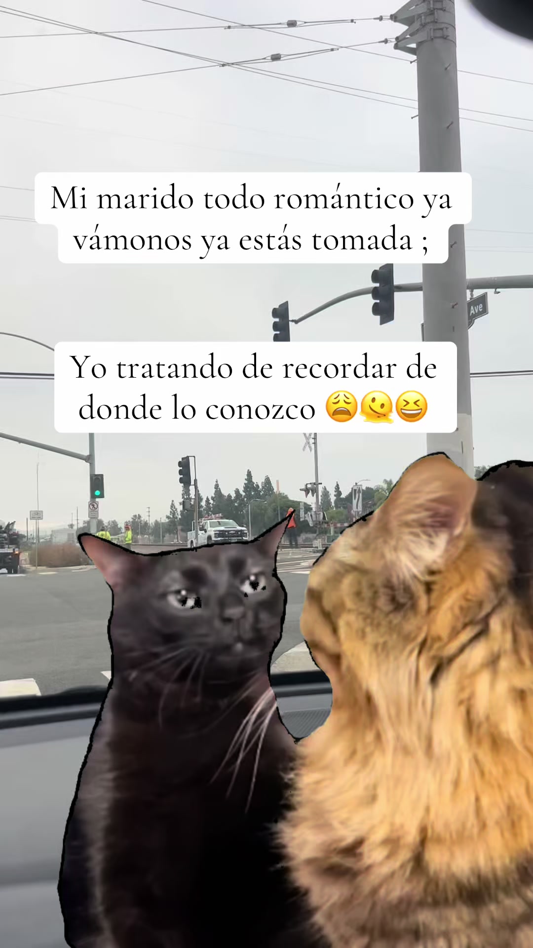 @Olga Lara G..503🇸🇻🫶