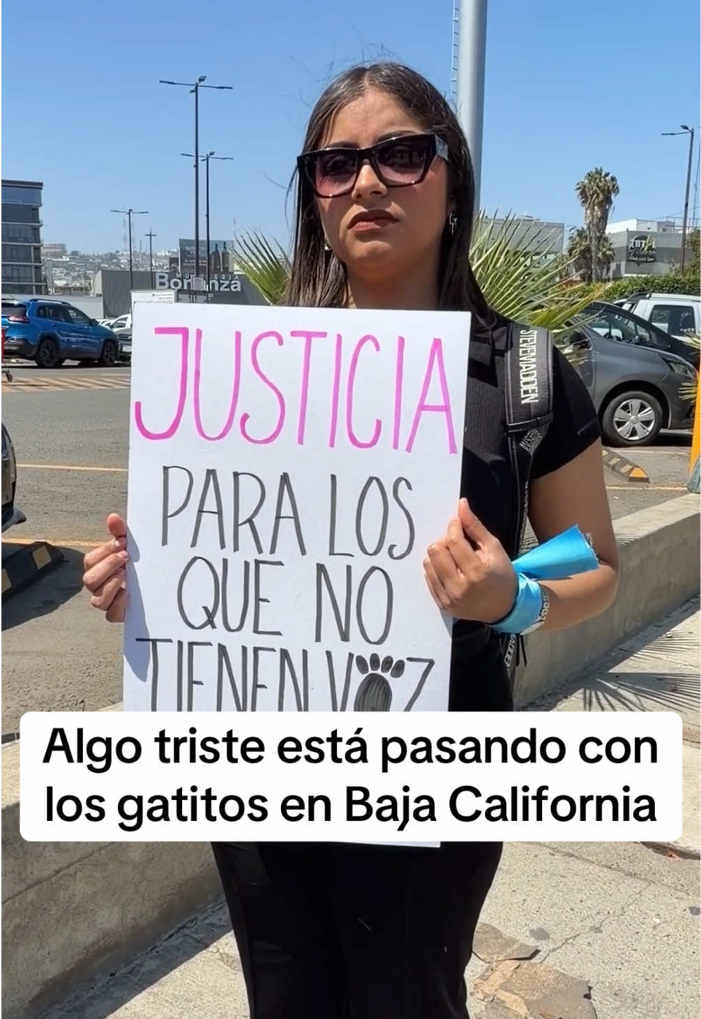 @Siempre en la Noticia