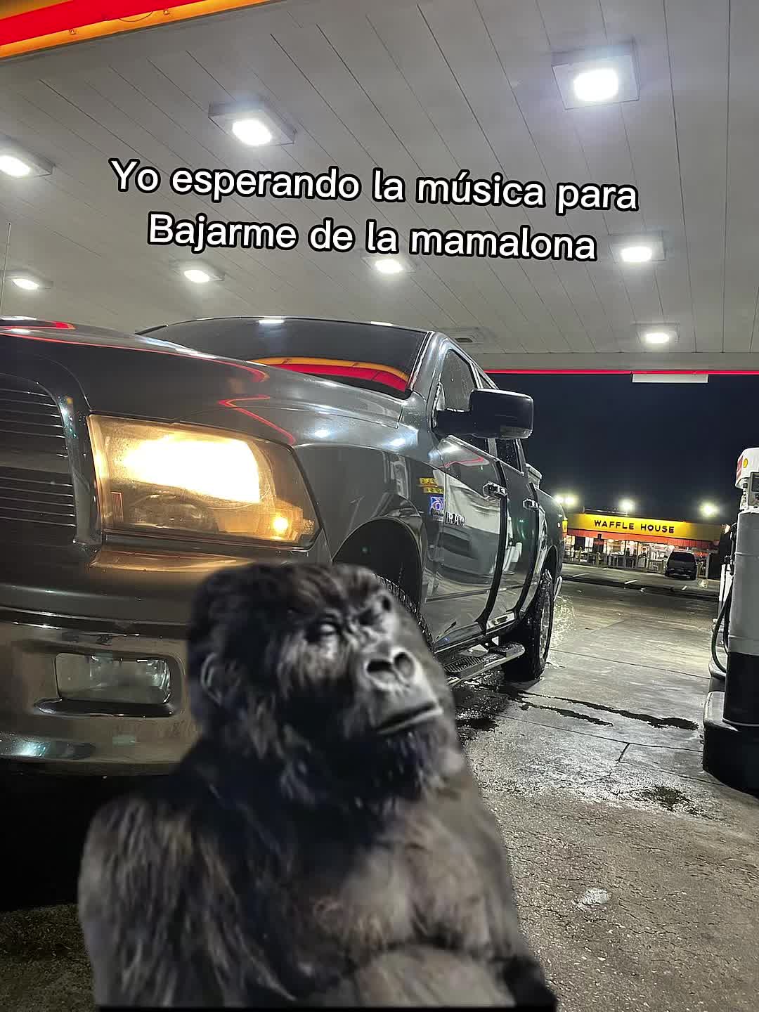 @neriedgardo472