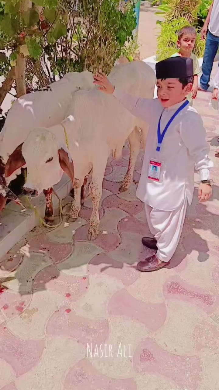 @Nasir Ali