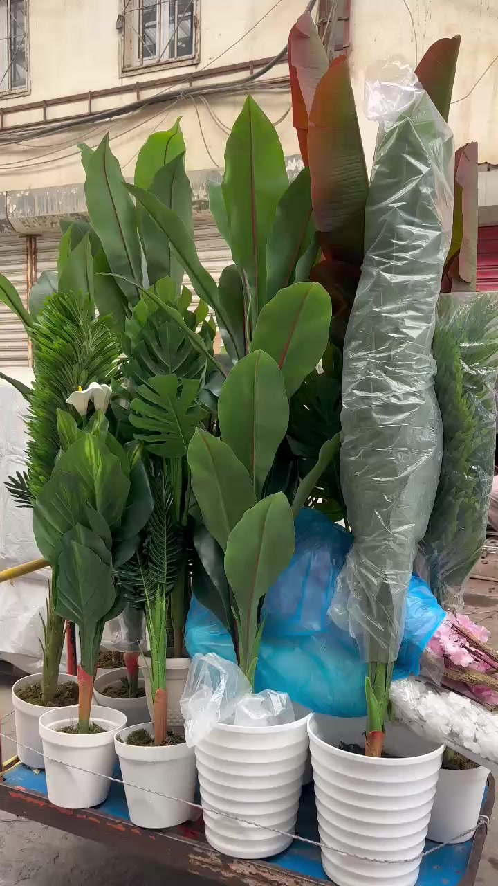 @Sədərək TM Gül mağazası Topdan
