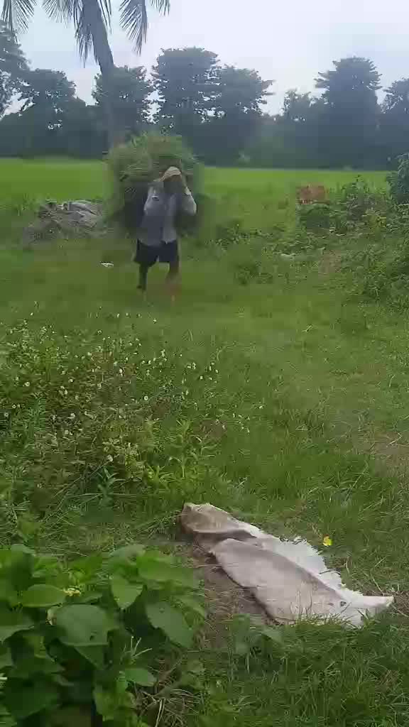 @Gobinda