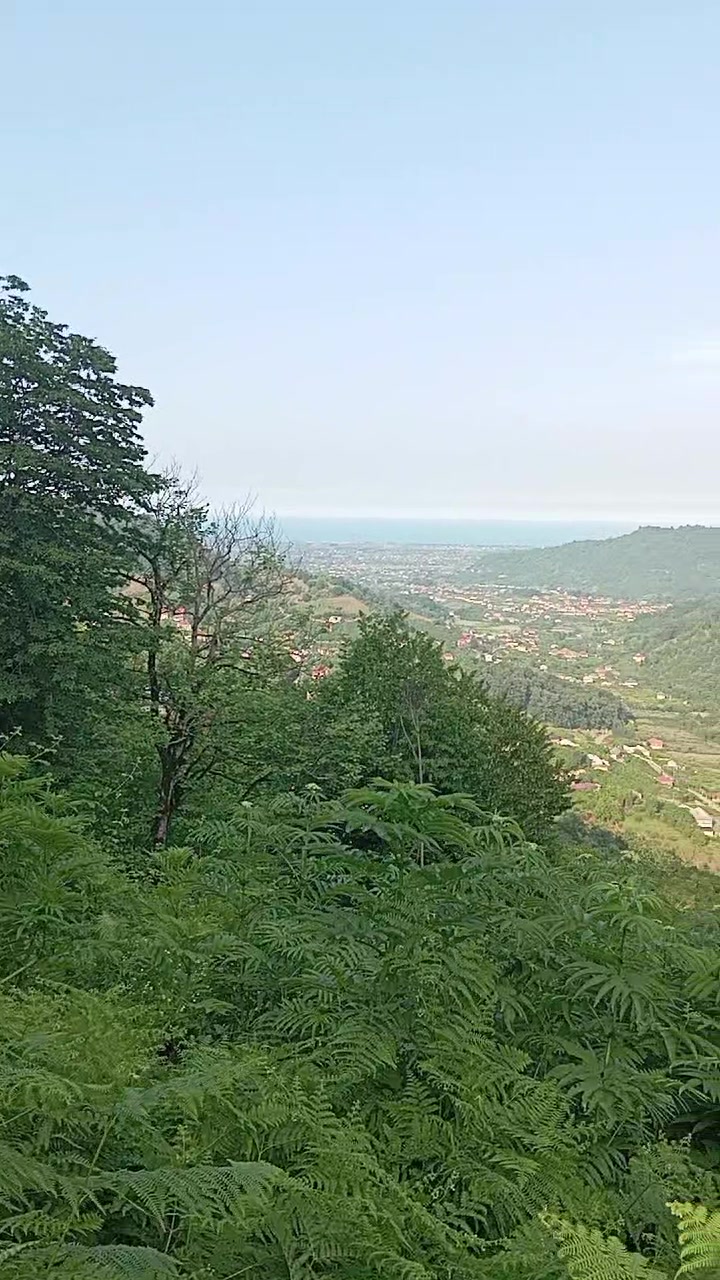 @Araz 07