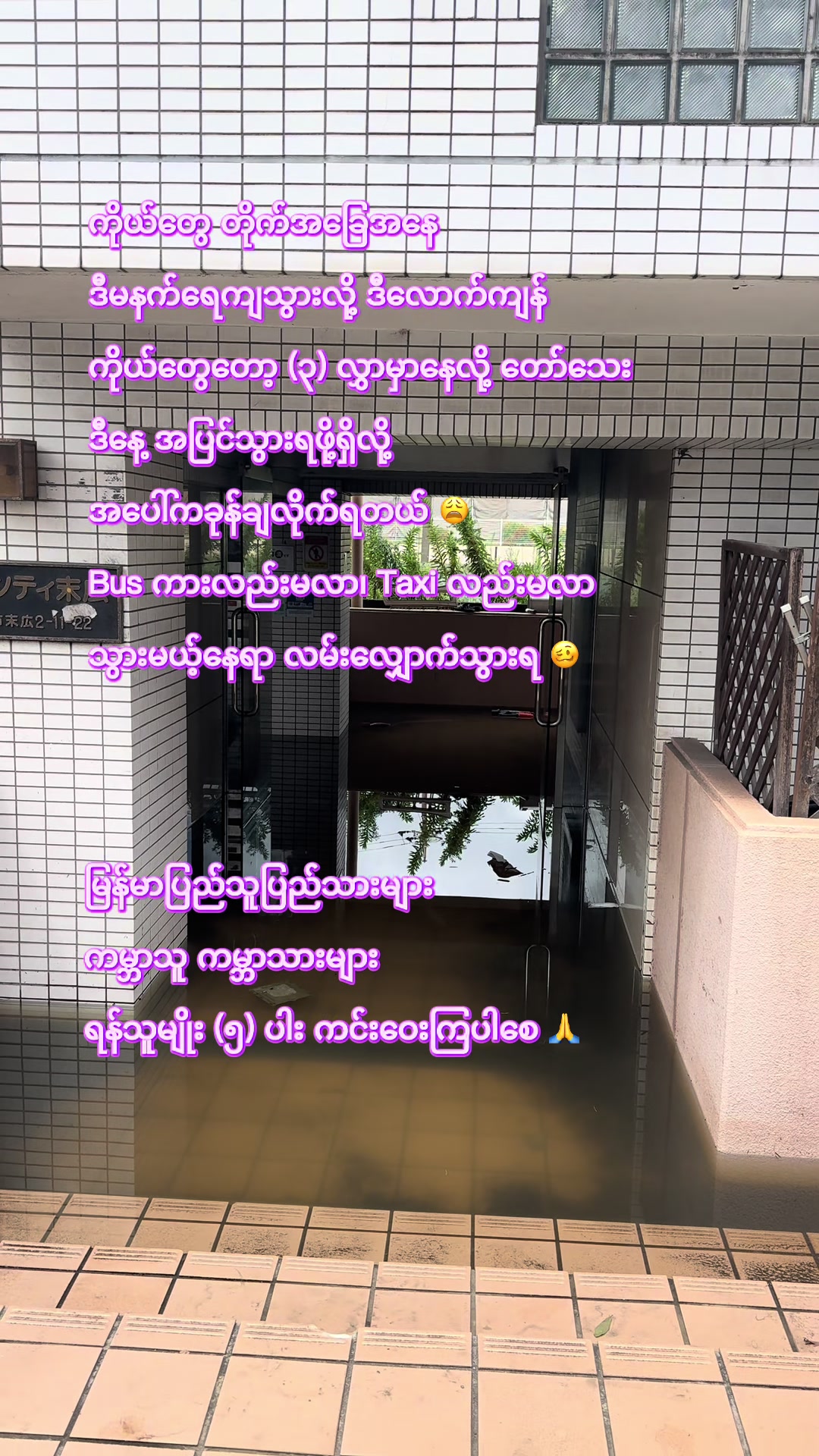 @🕊️CozyWithNyein 🕊️✨