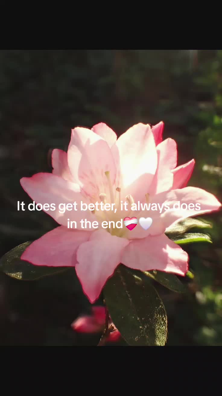 @*   ੈ✩‧₊˚*𝐴𝑥𝑒𝑙*   ੈ✩‧₊˚*
