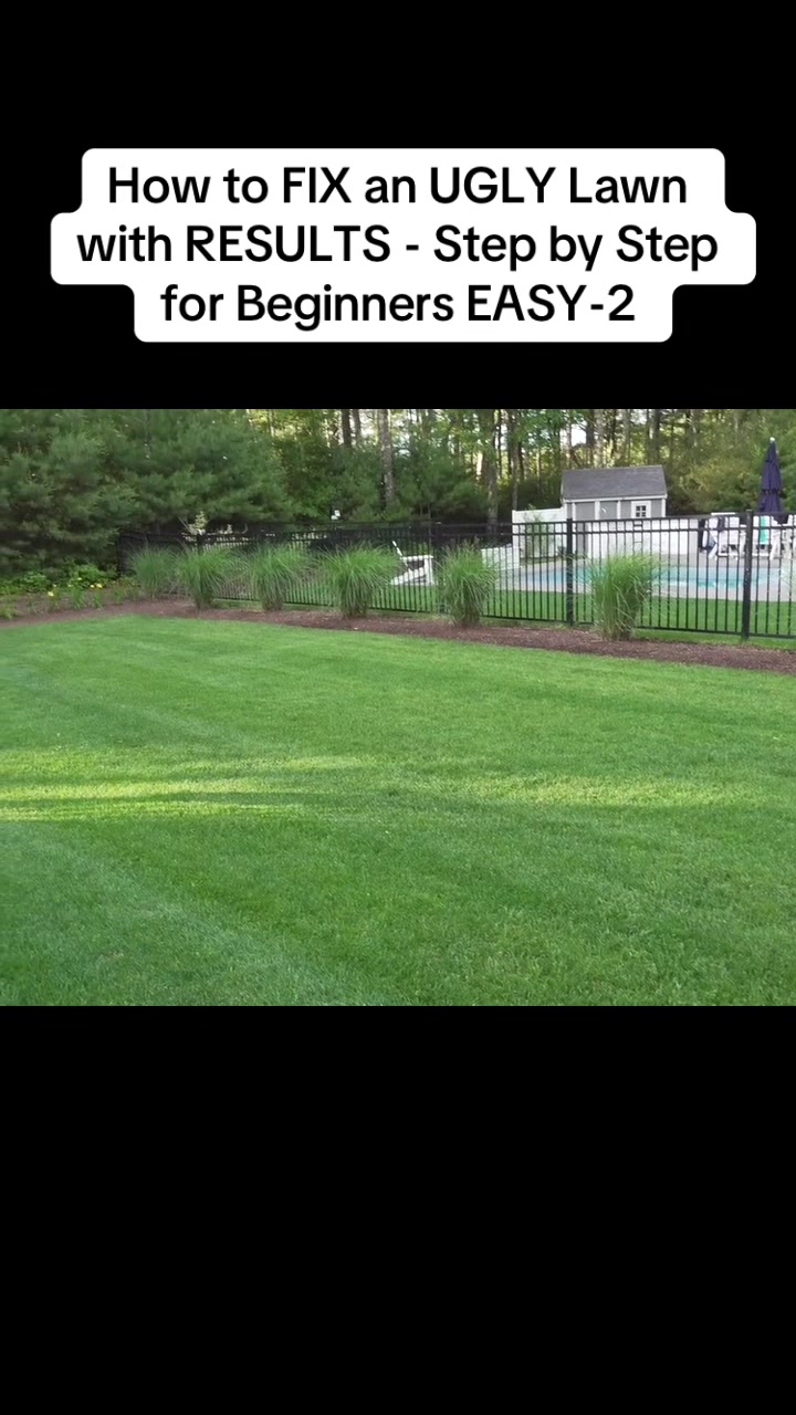 @MarvinVlogt