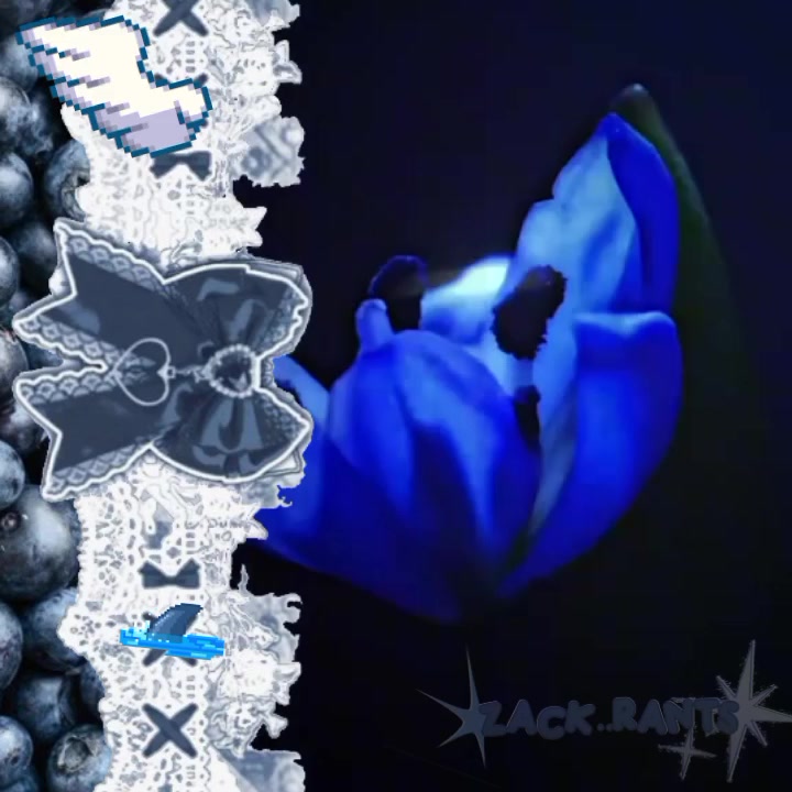 @𓈒 𓏼🎼: ۟ 𝙠az ݁ ݂ ͡ ⚝