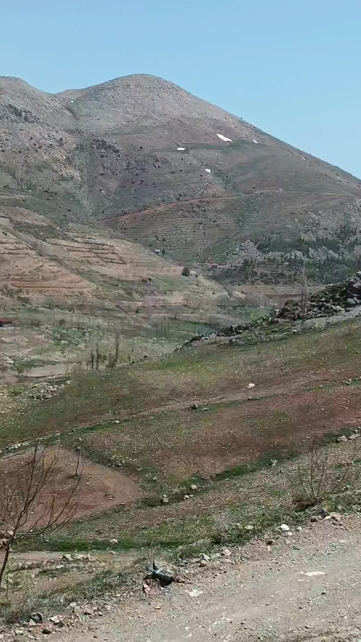 @DAĞCI.46
