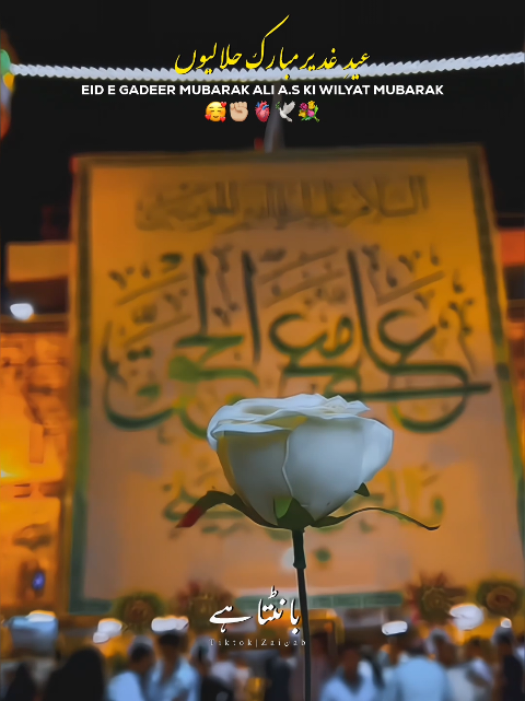 @𝐙𝐀𝐈ن𝐀𝐛ރ
