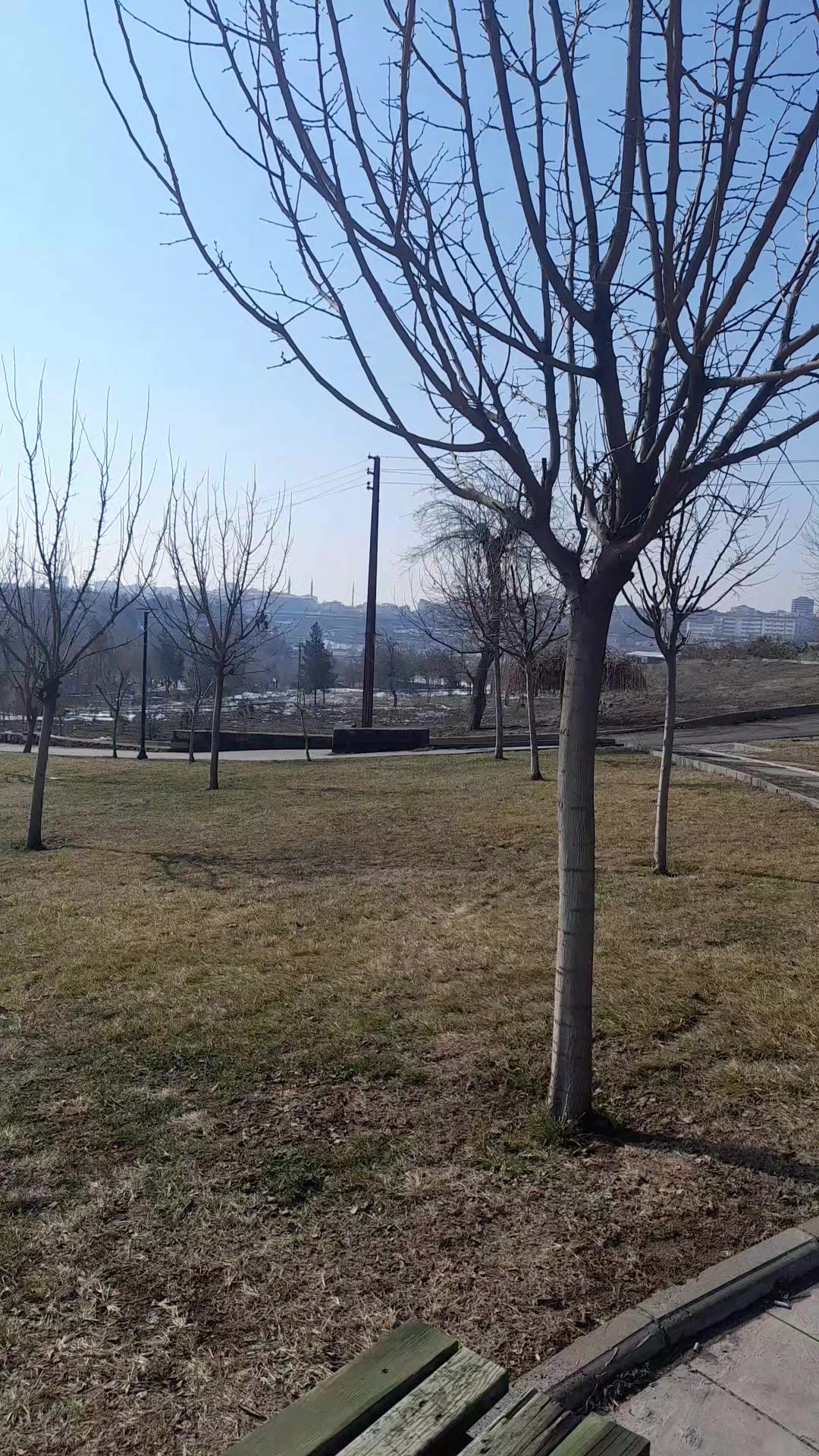 @M.mehti garlı