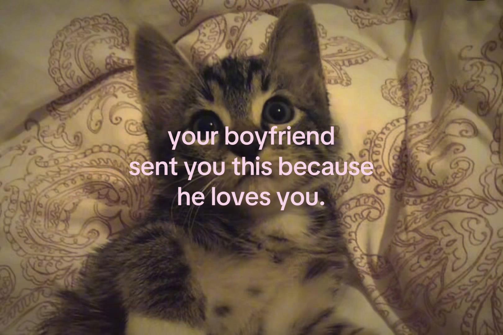 @sxalenz