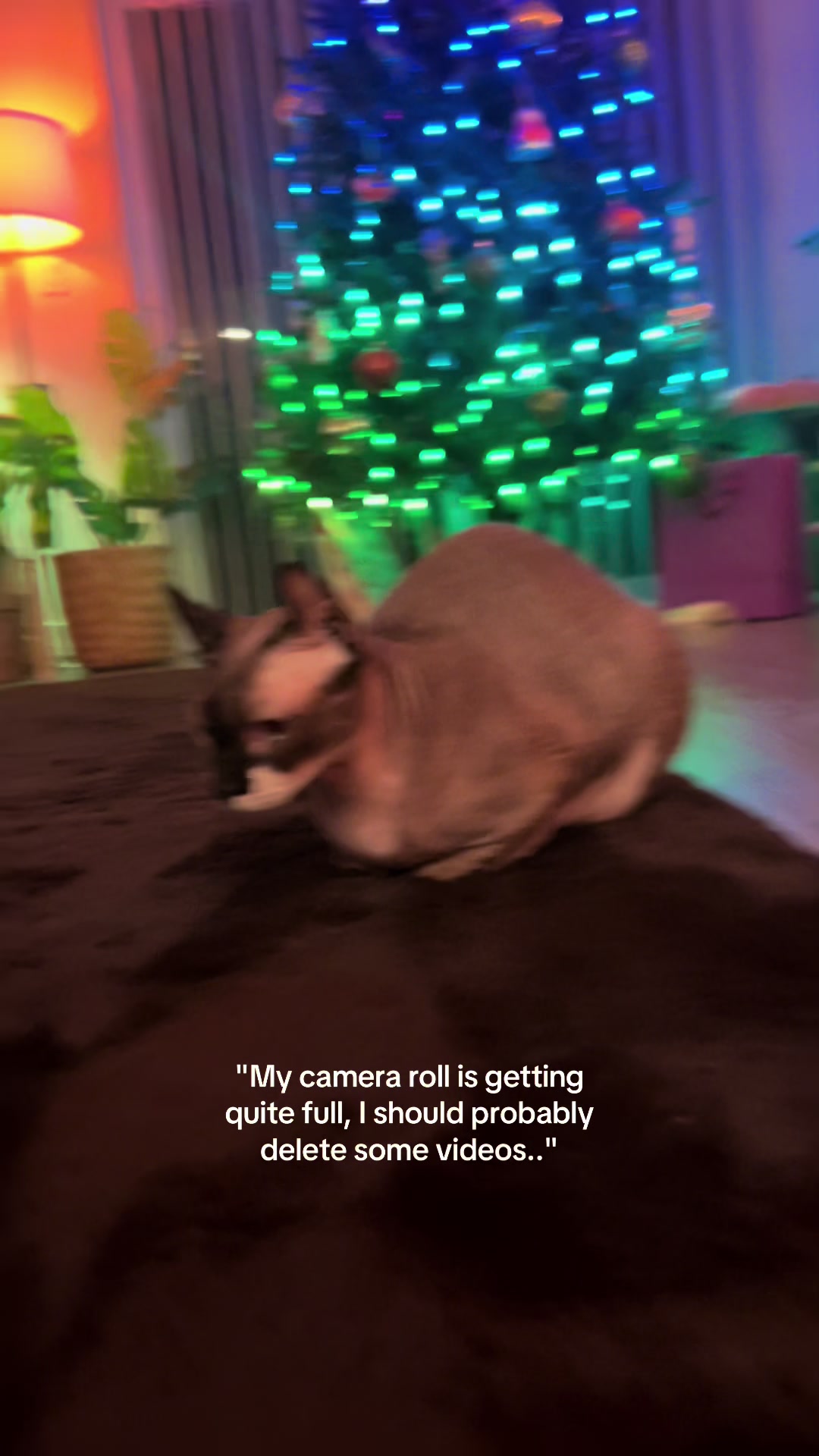 @Mattie