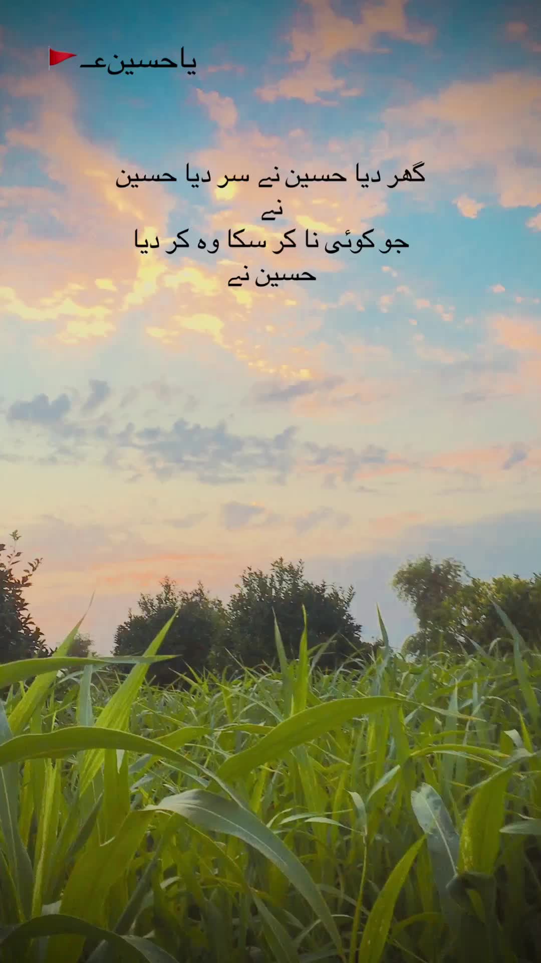 @Umar king