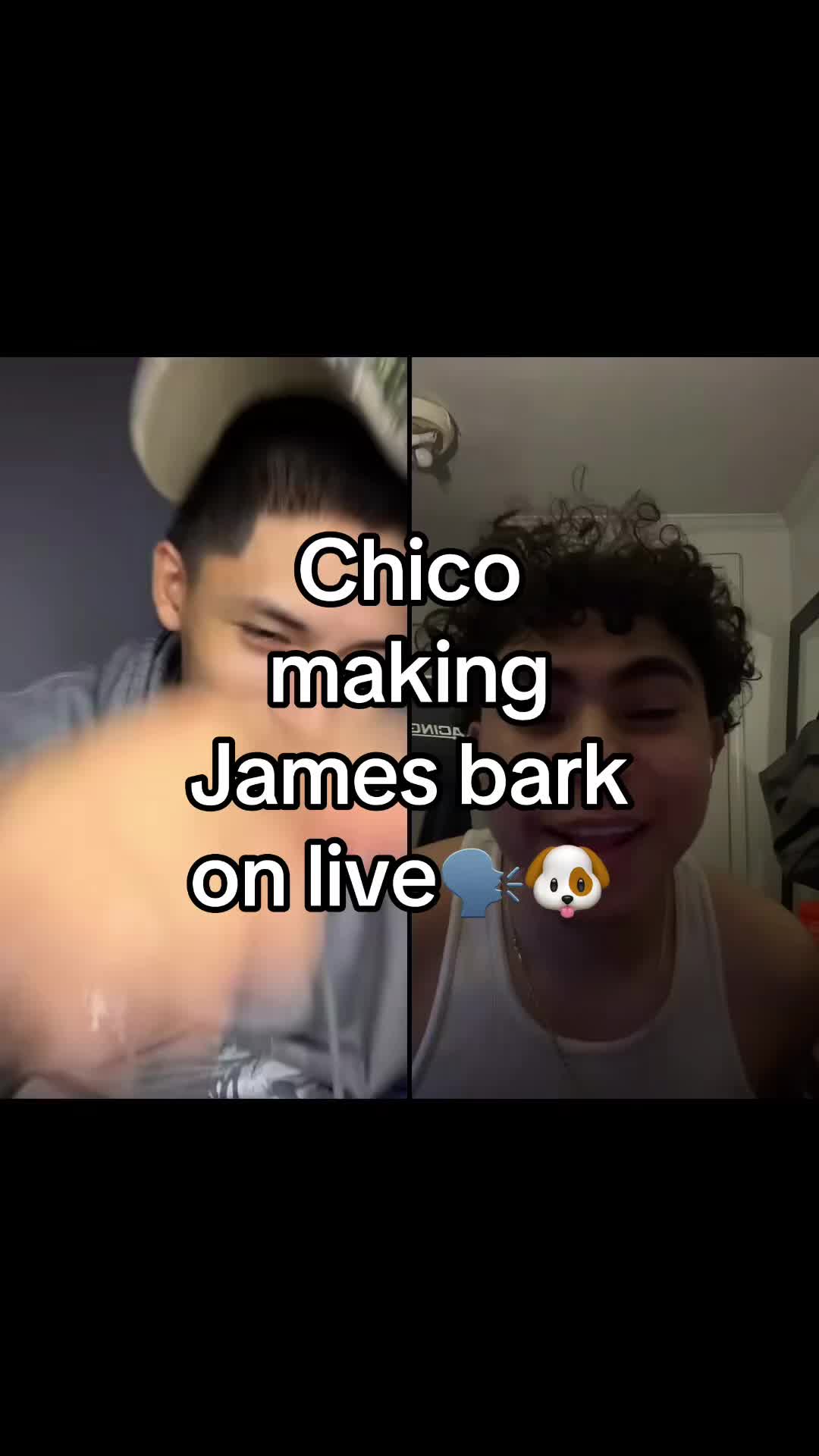 @crazychico