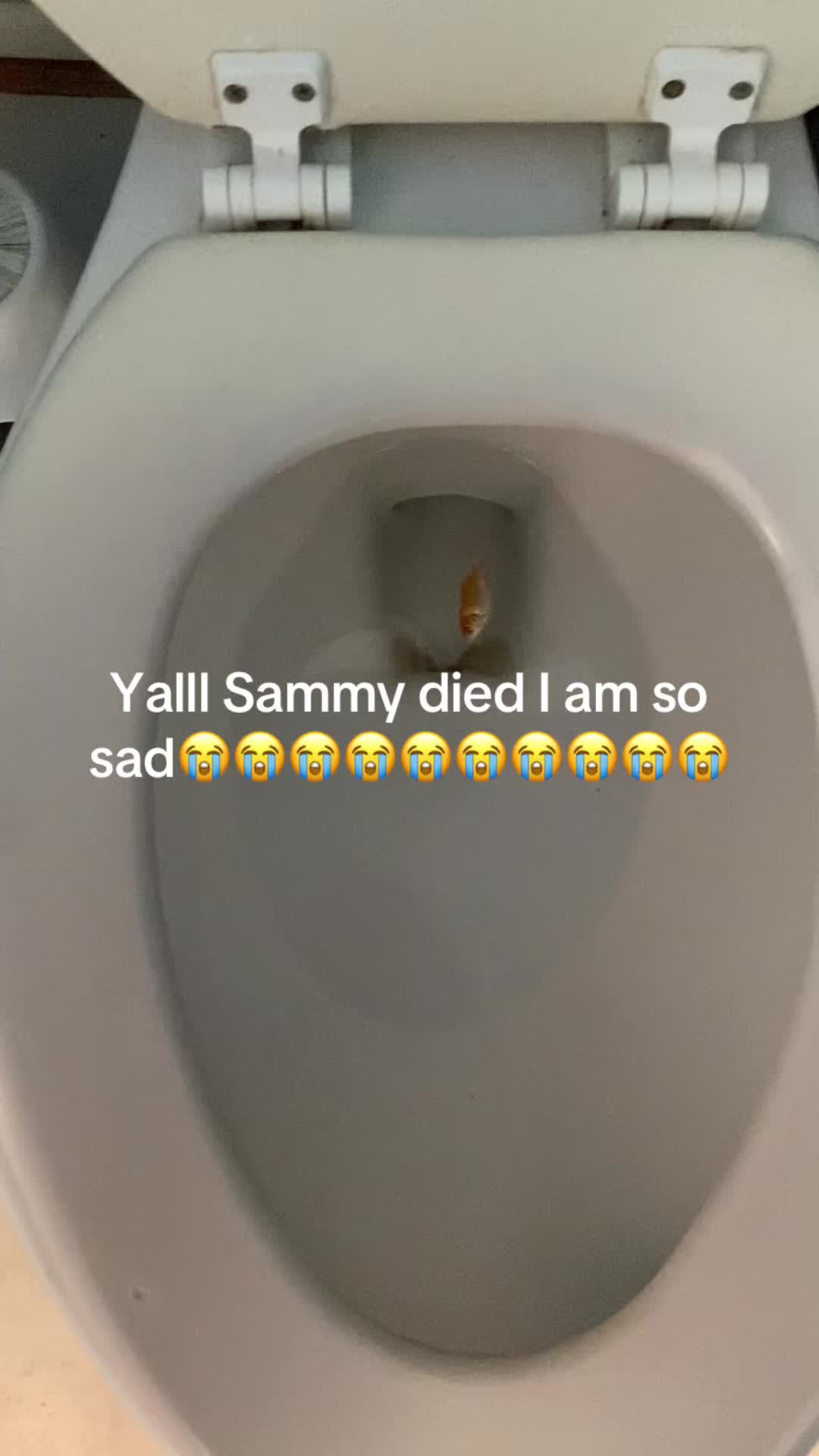 @Umm