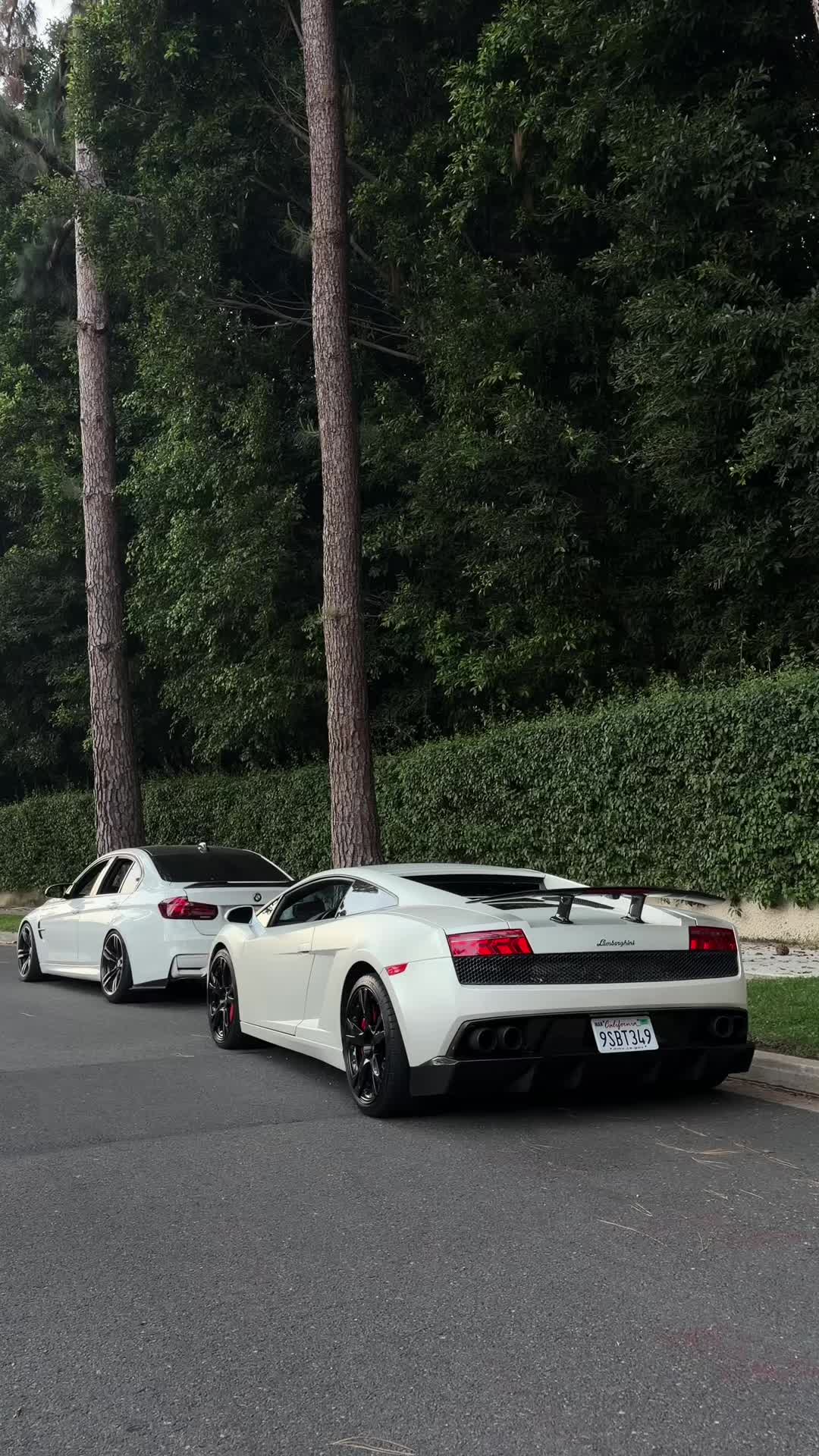 @jerrybluem2