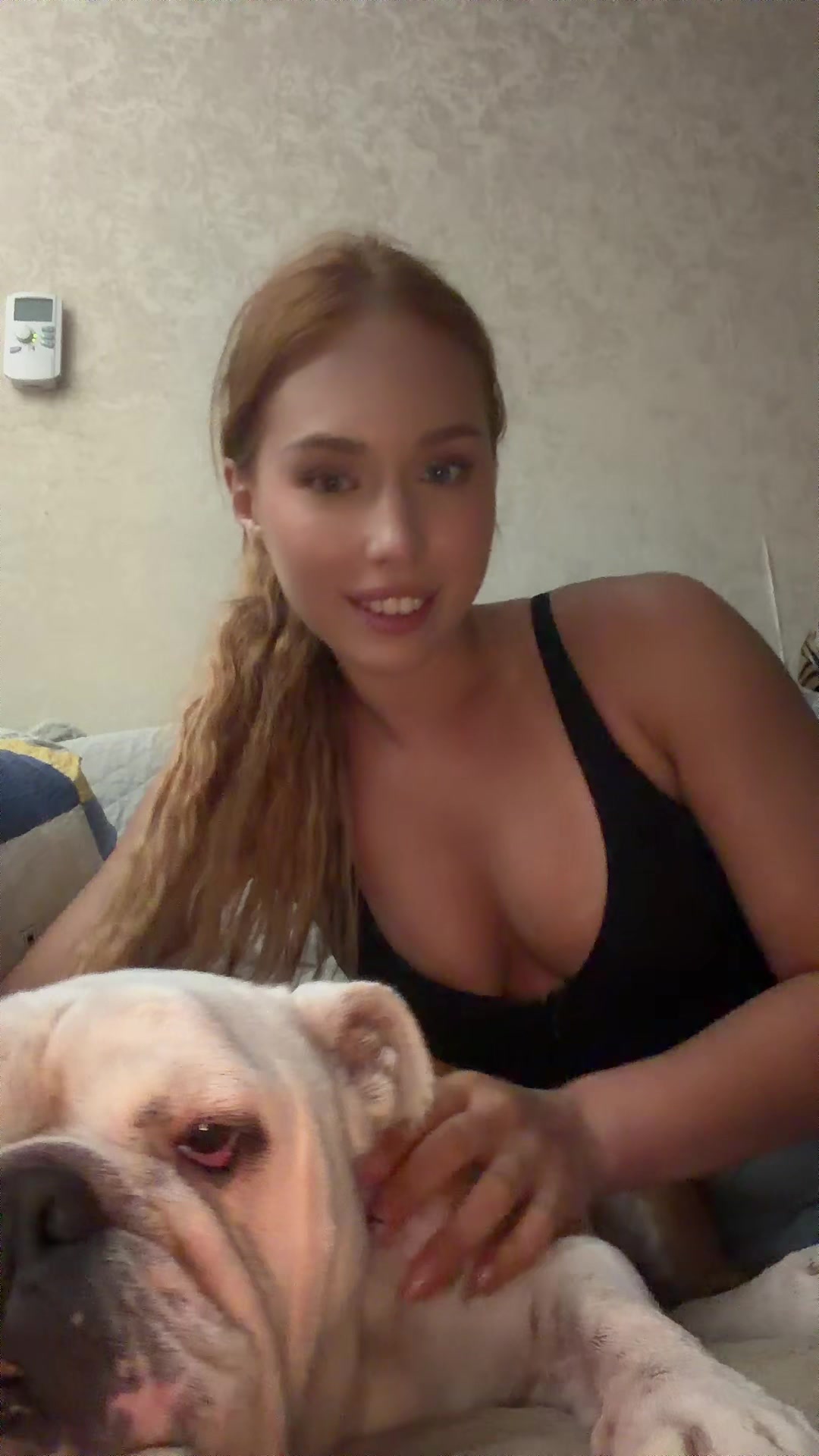 @Gonceatea