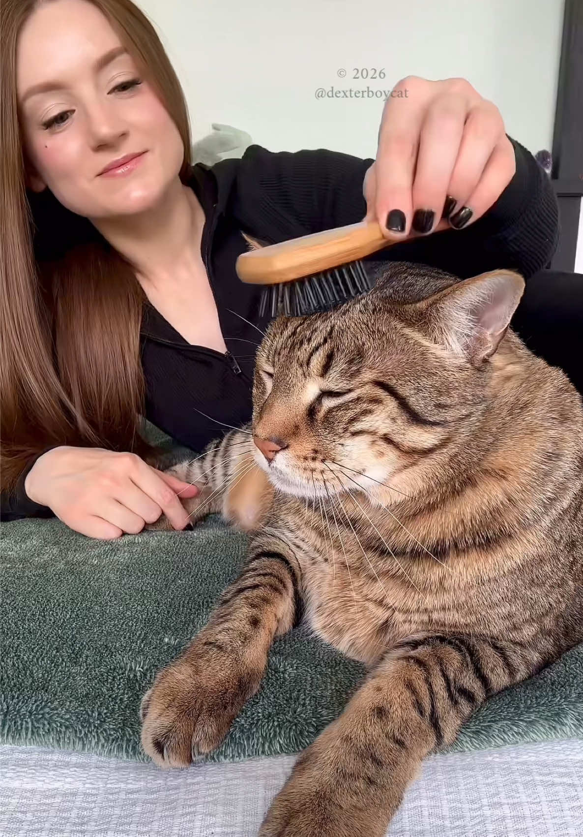 @dexterboycat 🐆&hearts;️