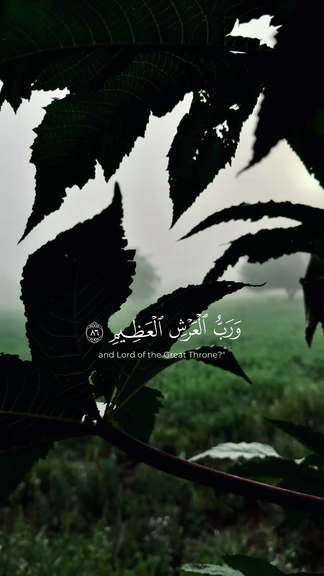 @حسين ويسا 🇱🇾