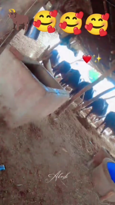 @akash125