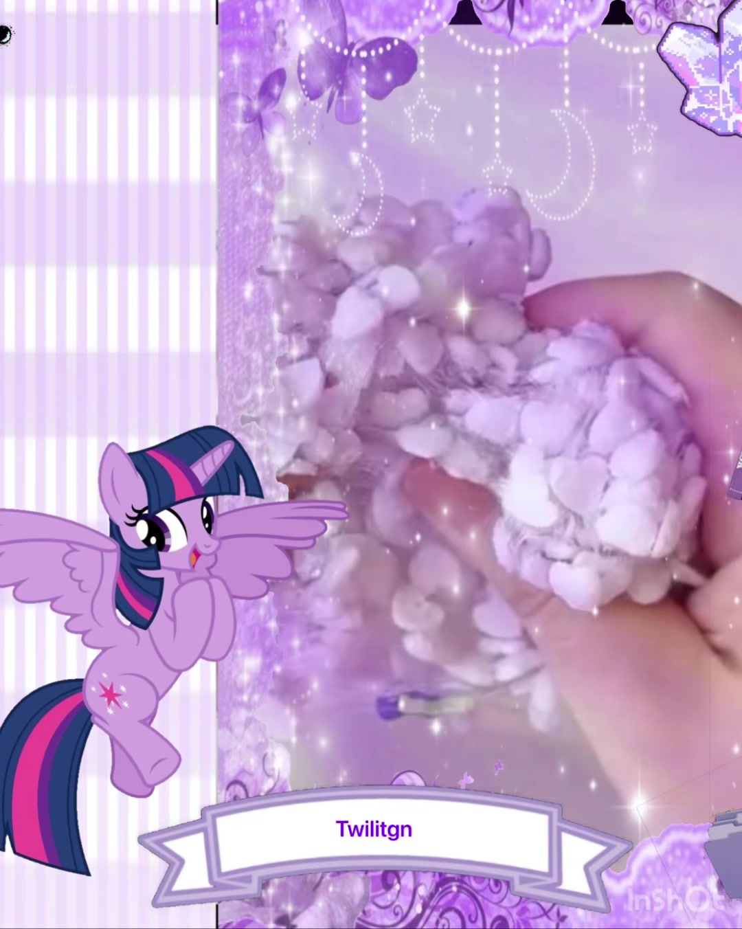 @꧁💜✨ིྀ𝓣𝔀𝓲𝓵𝓲𝓖𝓱𝓽ིྀ✨💜꧂