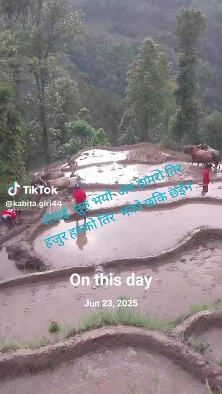 @Umesh Basnet