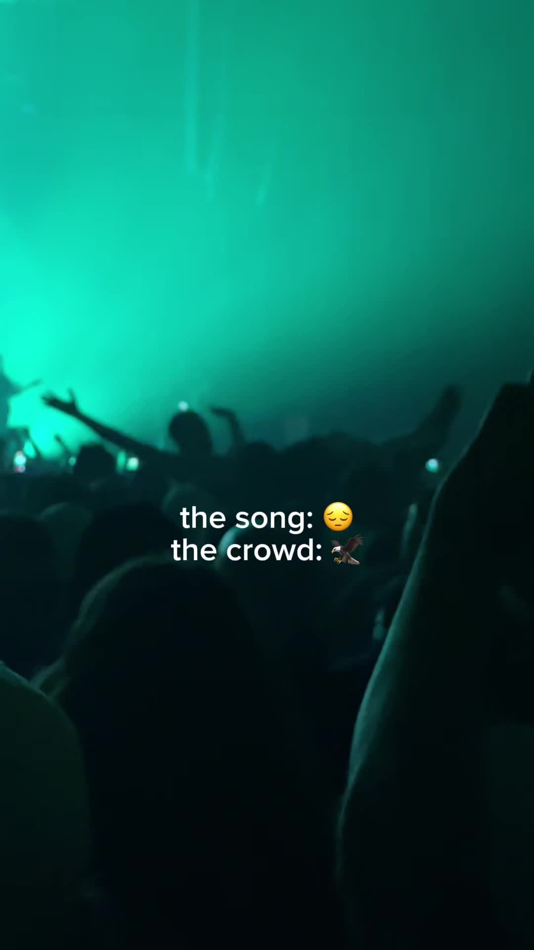 @Bilmuri Fan
