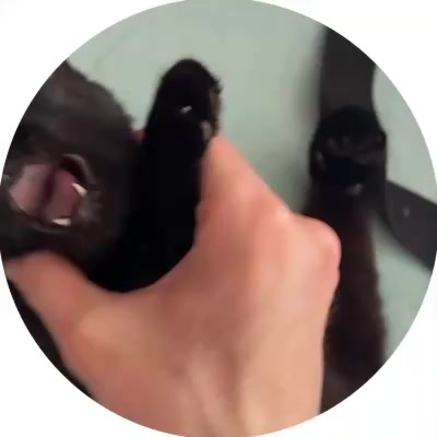 @WICSUR новости