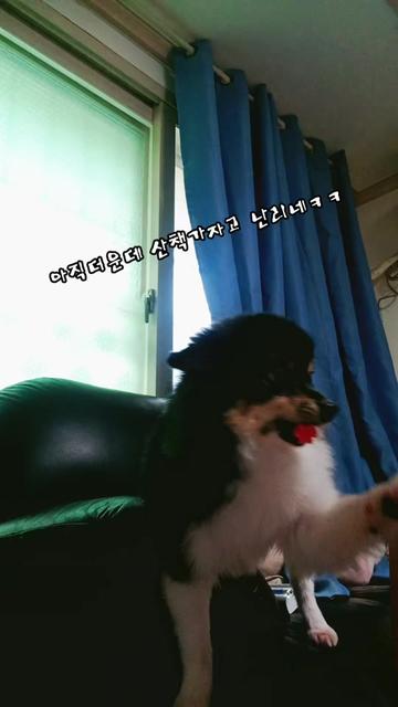@୧⍣⃝ɷ초코ɞ୨