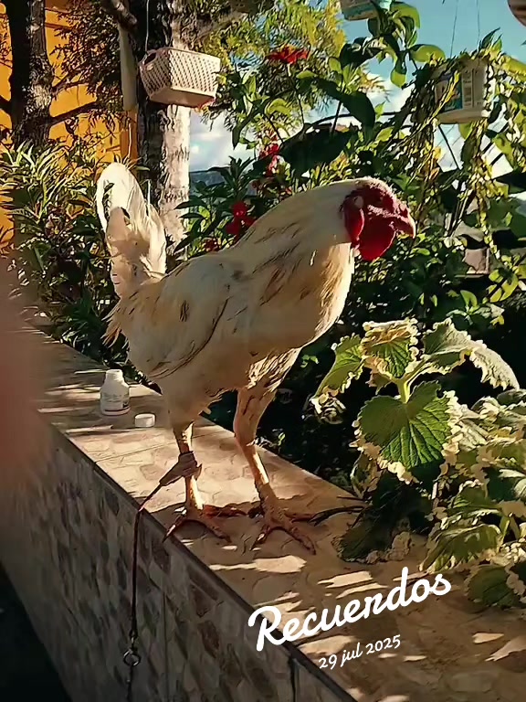 @mx_angel502