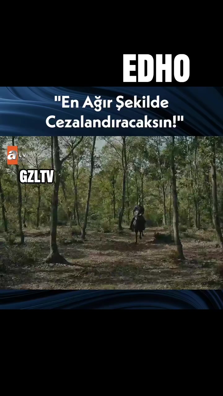 @Gazel
