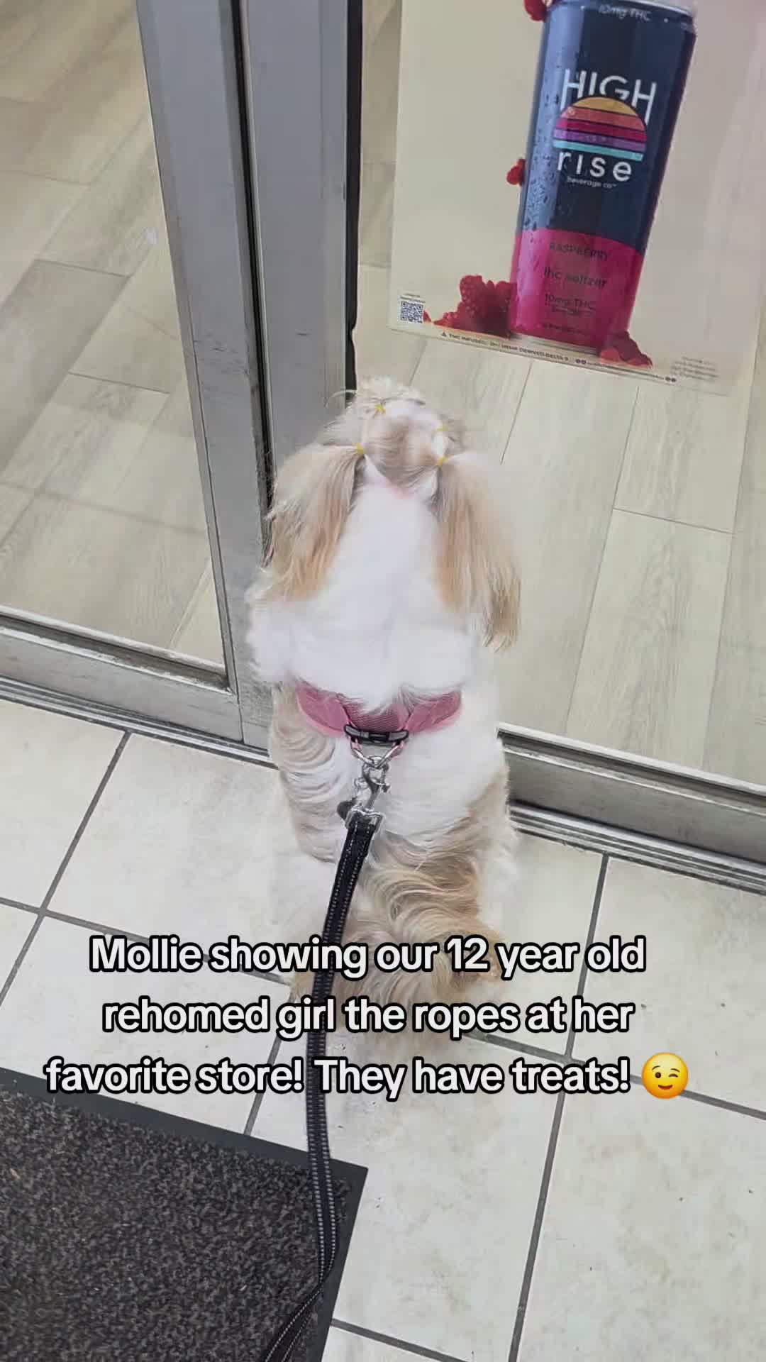@Little Miss Mollie